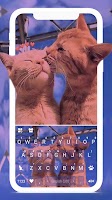 Cute Kitten Love poster