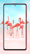 Flamingo Wallpapers captura de pantalla 5