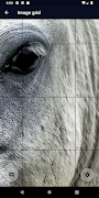ImageGrid screenshot 6