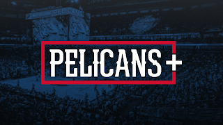 Pelicans+ poster