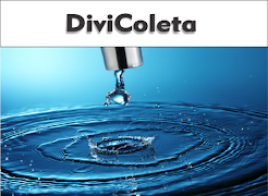 DIVICOLETA poster
