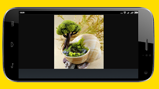 برنامه‌نما Mini Garden Ideas عکس از صفحه