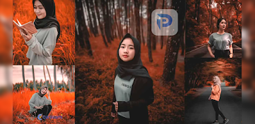 Presets for Lightroom Pack screenshot 3