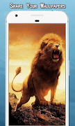 Lion Wallpapers Hd 스크린샷 1