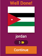 Flag Game imagem de tela 7