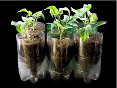 Best Hydroponic Systems screenshot 2