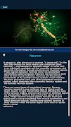 Brain Anatomy Pro. скриншот 6