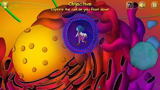 Microscopya imagem de tela 1