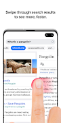 Cake Web Browser screenshot 2