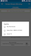Screen Stream Mirroring Pro تصوير الشاشة 2