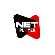 NETPLAYER اسکرین شاٹ 1