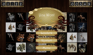 Memory Cards screenshot 3