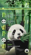 (FREE) GO SMS PANDA THEME 截圖 1