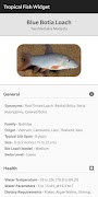 Tropical Fish Widget Ekran Görüntüsü 2