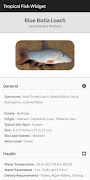 Tropical Fish Widget 스크린샷 2