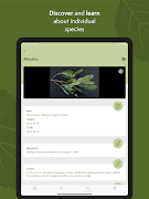 NZ Trees скриншот 6