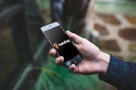 Halodag - How To Do Anything скриншот 5