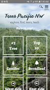 Trees PNW capture d'écran 1