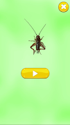 Dźwięki owadów screenshot 4