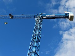 Crane Wallpapers HD capture d'écran 1