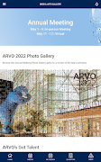 ARVO 2022 screenshot 5