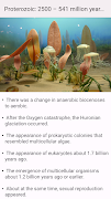 Evolution 截圖 1