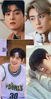 Cha Eun Woo Wallpaper HD screenshot 1