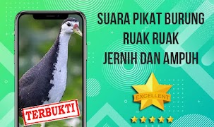 Suara Pemikat Ruak Ruak Ampuh 海报