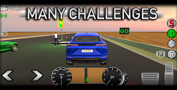 Real World Driver Sim स्क्रीनशॉट 6