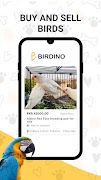 Birdino ポスター