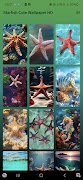 Starfish Cute Wallpaper HD 截圖 5