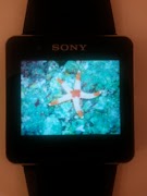 SmartWatch Gallery 截图 3
