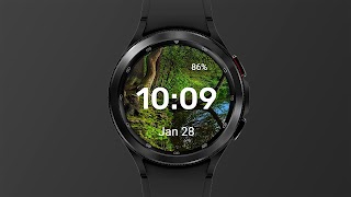 Dense Forest WatchFace ポスター