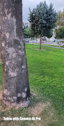 Camera 4K Pro Gold Edition screenshot 3