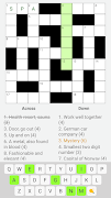 Crossword Puzzles Ekran Görüntüsü 1