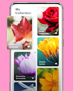 FLOWER IDENTIFIER স্ক্রিনশট 2