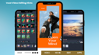 Veed Video Editing Hints 截图 3