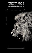 Starless - Amoled Wallpapers 截圖 3