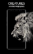 Starless - Amoled Wallpapers Ekran Görüntüsü 3