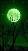 Moon Wallpaper স্ক্রিনশট 3