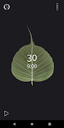 Bodhi Timer скриншот 3