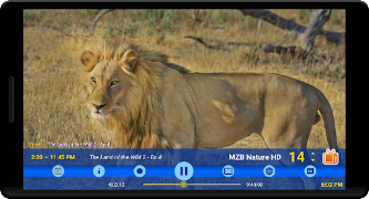 TiviApp Live TV Player screenshot 4