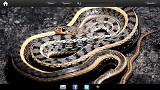 Snakes eGuide スクリーンショット 3