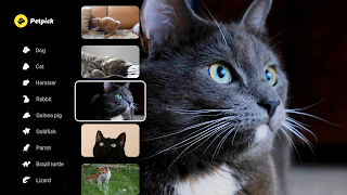 Petpick capture d'écran 6