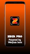 Zega Pro poster