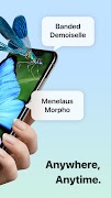 Picture Insect: Bug Identifier screenshot 1
