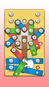 Screw Puzzle Master Cartaz