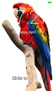 Parrot Lock Screen screenshot 1