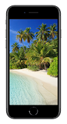 Beach Background 海报