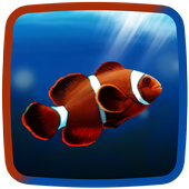 se filmer amélie gratis peixe palha 231 o fundo hd apk baixar gr 225 tis personaliza 231 227 o se filmer amélie gratis peixe palha 231 o fundo hd apk baixar gr 225 tis personaliza 231 227 o